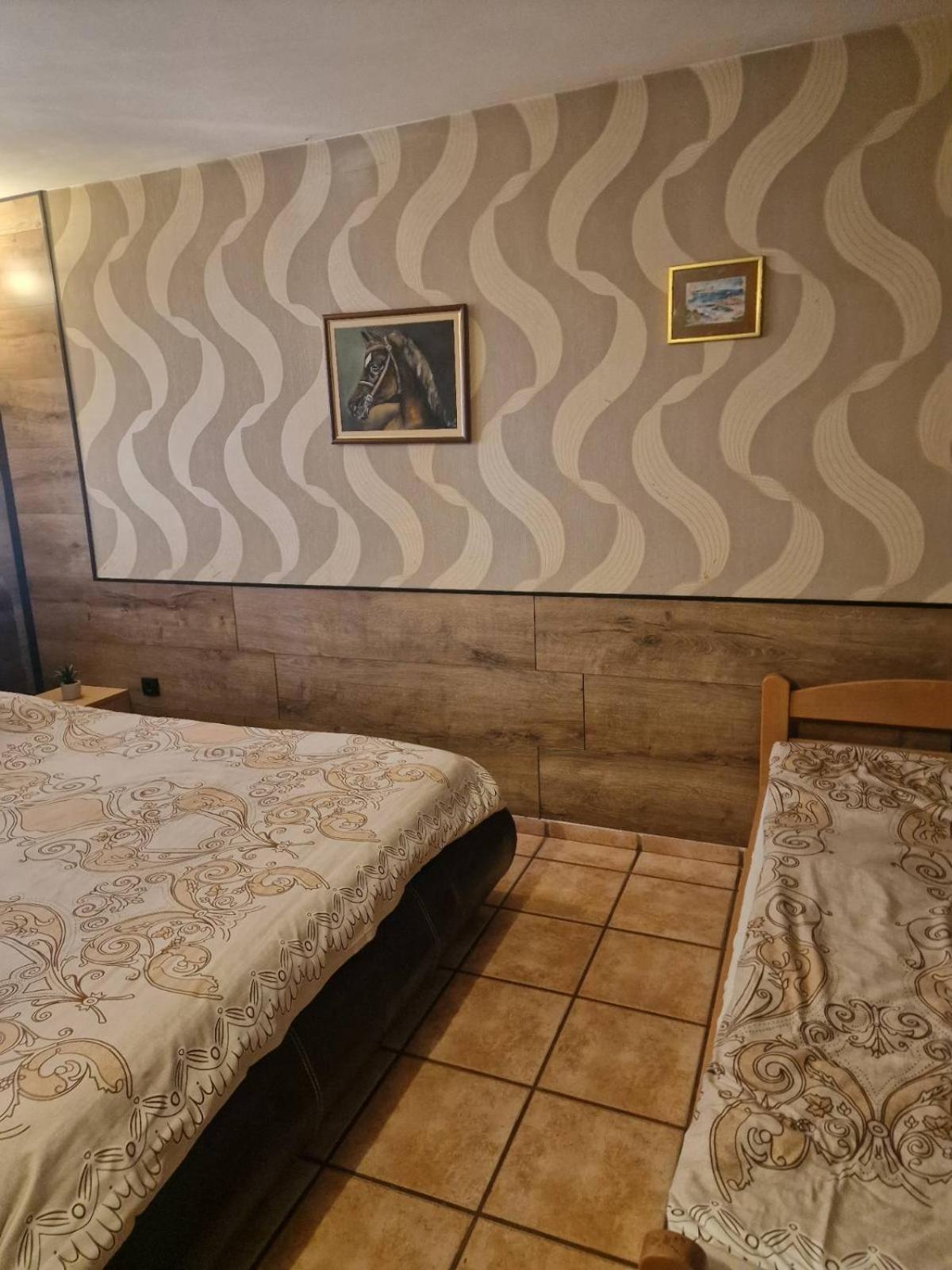 Guest House Maja Novi Sad Eksteriør bilde