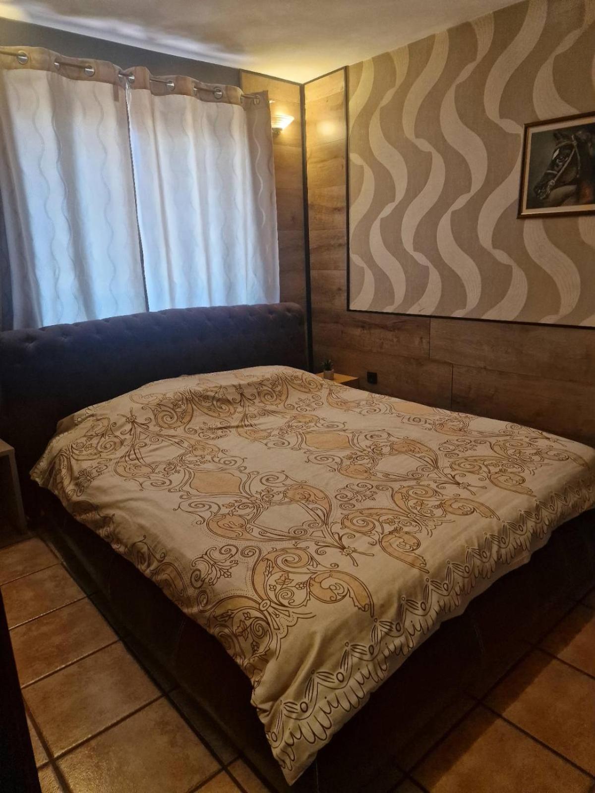 Guest House Maja Novi Sad Eksteriør bilde